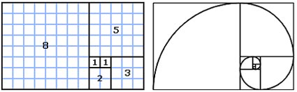Fibonacci spiraal is een ruimtelijke uitbeelding van de rij van fibonacci